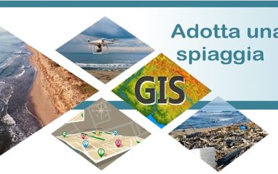 Virtual surveys of plastic litter