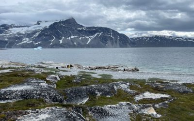 Plastic in the marine Artic – from source to solution