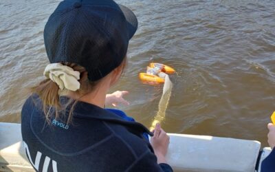 Collection of microplastics with the USV Pamela